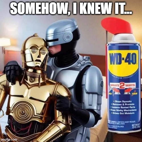 Robot Love | SOMEHOW, I KNEW IT... | image tagged in c3po | made w/ Imgflip meme maker