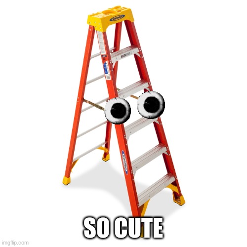 Step Ladder | SO CUTE | image tagged in step ladder | made w/ Imgflip meme maker