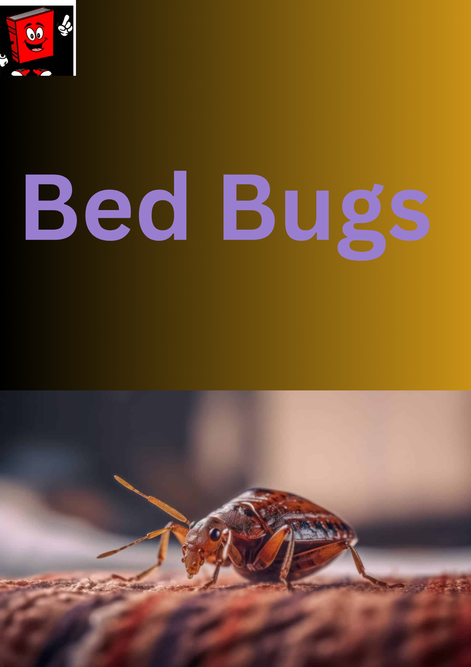 Bed Bugs Blank Meme Template