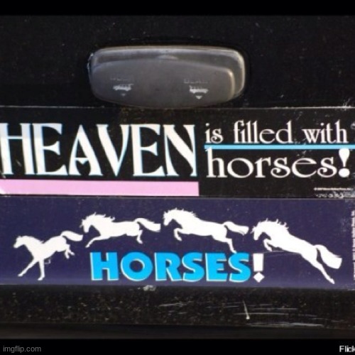 "I know a guy in heaven who got filled by a horse" | made w/ Imgflip meme maker