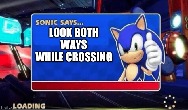 Sonic Says | LOOK BOTH WAYS WHILE CROSSING | image tagged in sonic says | made w/ Imgflip meme maker