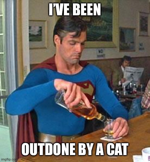 Drunk Superman | I’VE BEEN OUTDONE BY A CAT | image tagged in drunk superman | made w/ Imgflip meme maker