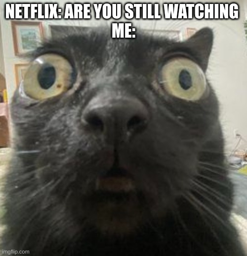 where to disable this | NETFLIX: ARE YOU STILL WATCHING 
ME: | image tagged in jinx staring | made w/ Imgflip meme maker