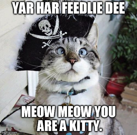Spangles Meme | YAR HAR FEEDLIE DEE MEOW MEOW YOU ARE A KITTY. | image tagged in memes,spangles | made w/ Imgflip meme maker