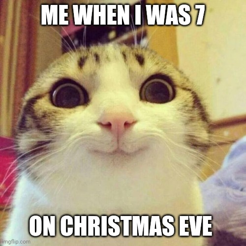 Christmas | ME WHEN I WAS 7; ON CHRISTMAS EVE | image tagged in memes,smiling cat | made w/ Imgflip meme maker