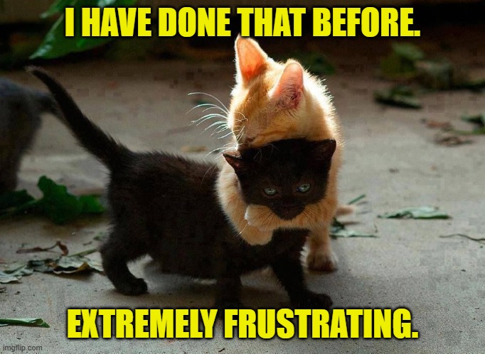 kitten hug | I HAVE DONE THAT BEFORE. EXTREMELY FRUSTRATING. | image tagged in kitten hug | made w/ Imgflip meme maker