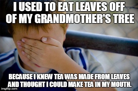 Confession Kid | I USED TO EAT LEAVES OFF OF MY GRANDMOTHER'S TREE BECAUSE I KNEW TEA WAS MADE FROM LEAVES AND THOUGHT I COULD MAKE TEA IN MY MOUTH. | image tagged in memes,confession kid,AdviceAnimals | made w/ Imgflip meme maker