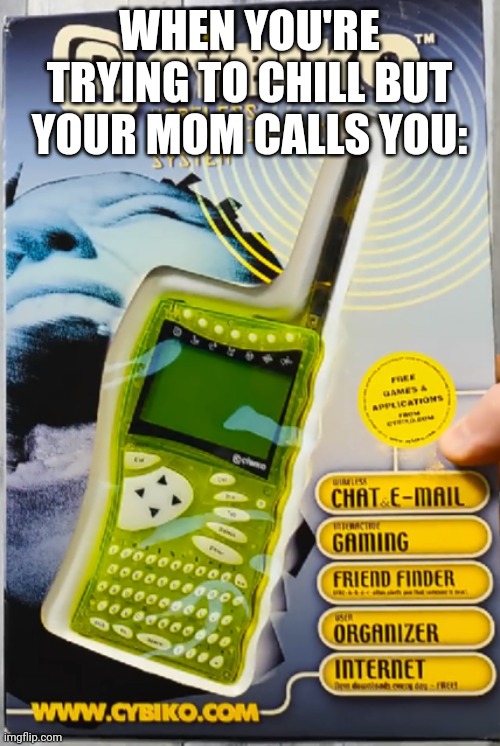Facts | WHEN YOU'RE TRYING TO CHILL BUT YOUR MOM CALLS YOU: | image tagged in cybiko box | made w/ Imgflip meme maker