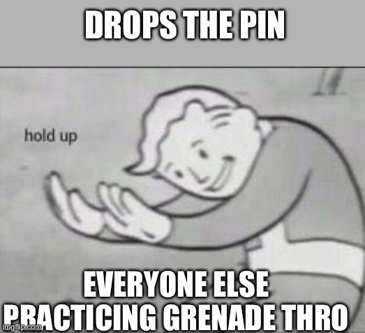 Don't ask me how grenade throwing is a thing | DROPS THE PIN; EVERYONE ELSE PRACTICING GRENADE THROWING | image tagged in fallout hold up | made w/ Imgflip meme maker