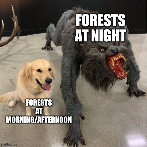 dont go at night | FORESTS AT NIGHT; FORESTS AT MORNING/AFTERNOON | image tagged in dog vs werewolf | made w/ Imgflip meme maker
