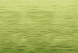 image tagged in gifs | made w/ Imgflip images-to-gif maker