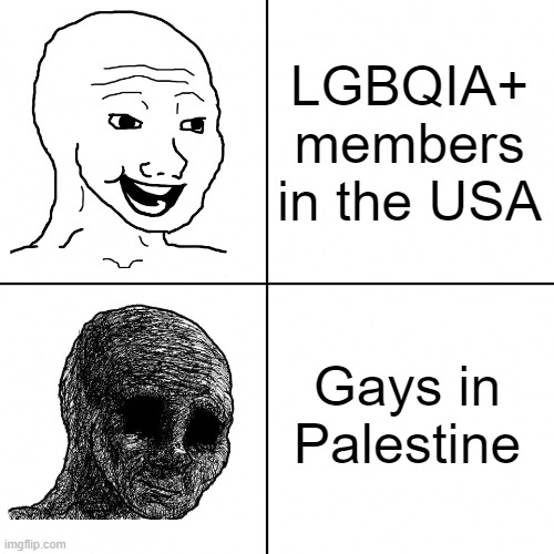 Follow me (POV Hungary) on X! | LGBQIA+
members in the USA; Gays in Palestine | image tagged in happy wojak vs depressed wojak | made w/ Imgflip meme maker