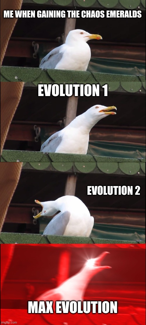 Inhaling Seagull | ME WHEN GAINING THE CHAOS EMERALDS; EVOLUTION 1; EVOLUTION 2; MAX EVOLUTION | image tagged in memes,inhaling seagull | made w/ Imgflip meme maker