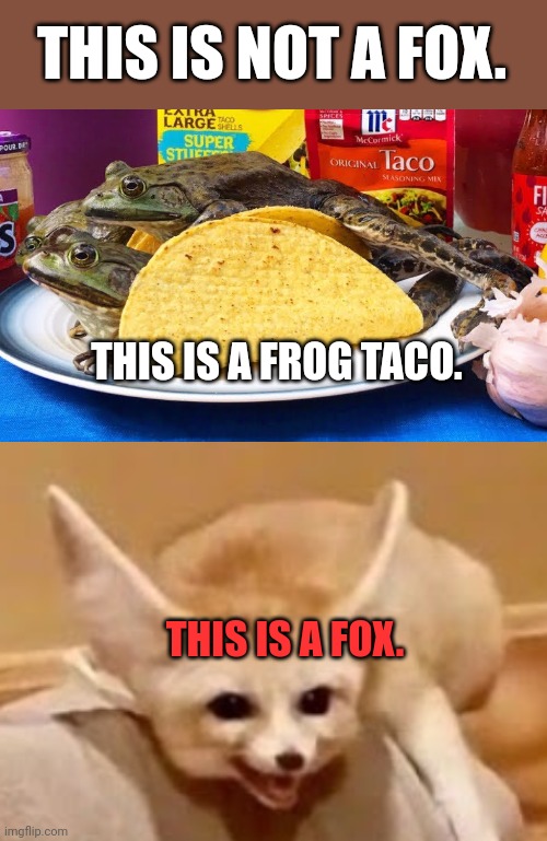 More important fox facts | THIS IS NOT A FOX. THIS IS A FROG TACO. THIS IS A FOX. | image tagged in fox,facts,frog,tacos | made w/ Imgflip meme maker