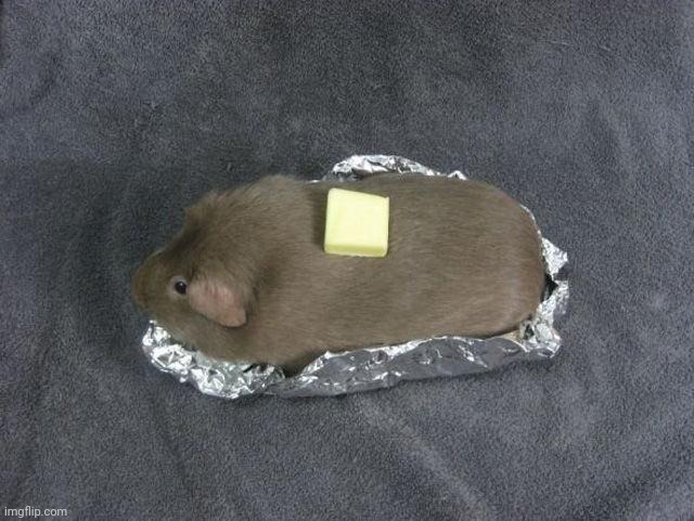 Baked potato Guinea pig | image tagged in baked potato guinea pig | made w/ Imgflip meme maker