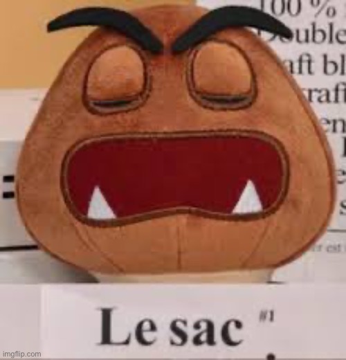 Le sac | image tagged in le sac | made w/ Imgflip meme maker