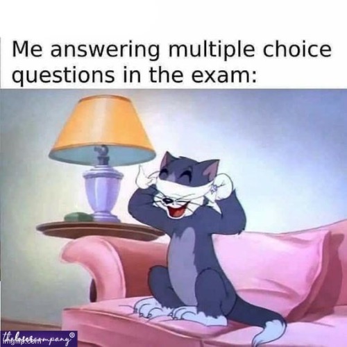 Multiple choice | image tagged in multiple choice | made w/ Imgflip meme maker