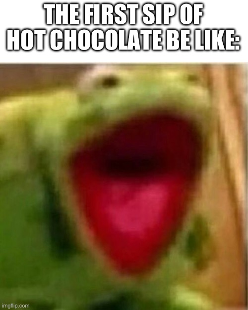 i cried in the middle of a coffee shop because of this | THE FIRST SIP OF HOT CHOCOLATE BE LIKE: | image tagged in ahhhhhhhhhhhhh,hot chocolate,burn,screaming,death | made w/ Imgflip meme maker
