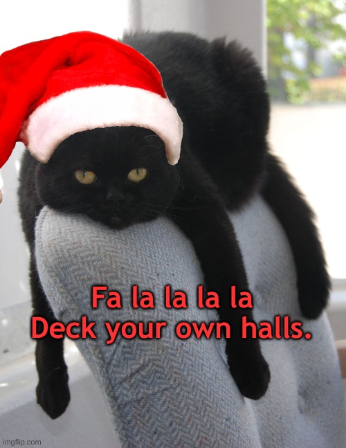Grumpy Christmas Cat | Fa la la la la
Deck your own halls. | image tagged in black cat draped on chair | made w/ Imgflip meme maker