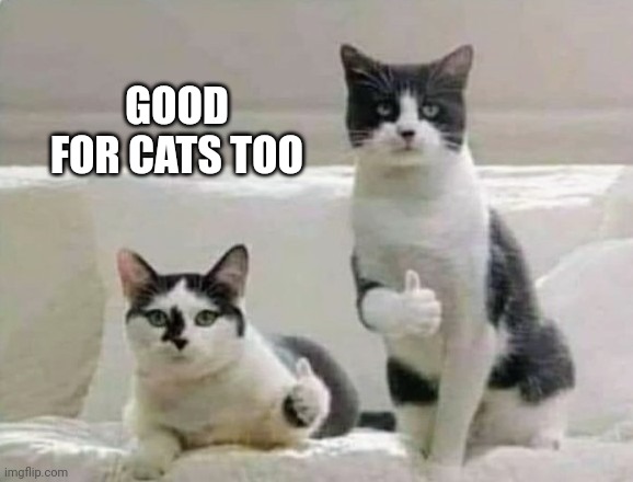 Thumbs up Cats | GOOD FOR CATS TOO | image tagged in thumbs up cats | made w/ Imgflip meme maker