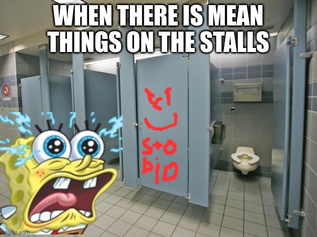 Bathroom stall | WHEN THERE IS MEAN THINGS ON THE STALLS | image tagged in bathroom stall | made w/ Imgflip meme maker