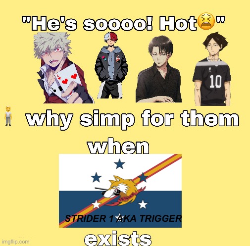 why simp for them when x exists | STRIDER 1 AKA TRIGGER | image tagged in why simp for them when x exists,military,ace combat,ace combat 7,memes,fighter jet | made w/ Imgflip meme maker