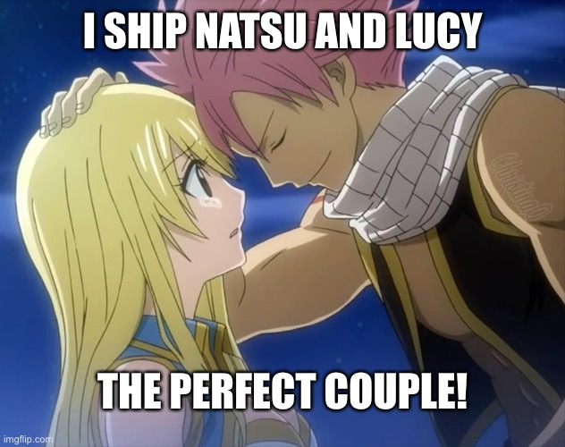 Natsu and Lucy Nalu | I SHIP NATSU AND LUCY; THE PERFECT COUPLE! | image tagged in memes,fairy tail,natsu dragneel,lucy heartfilia,nalu fairy tail,relationships | made w/ Imgflip meme maker