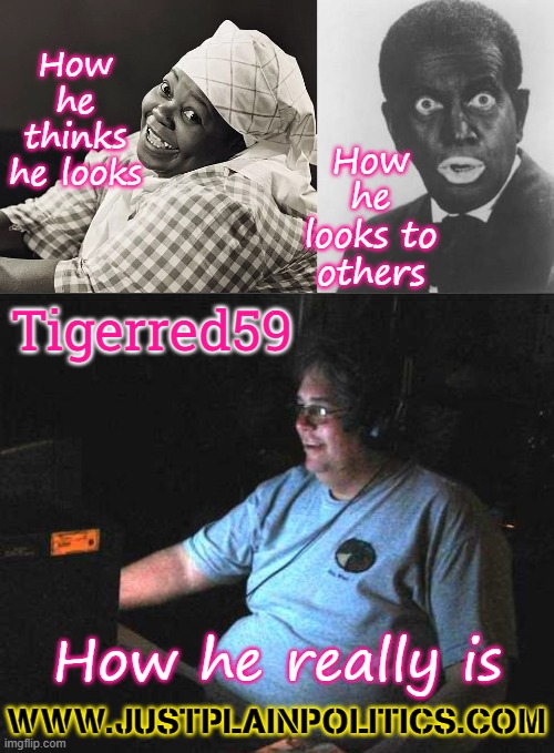 86q51w.jpg