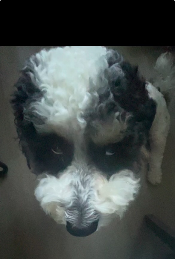 Nek Blank Meme Template