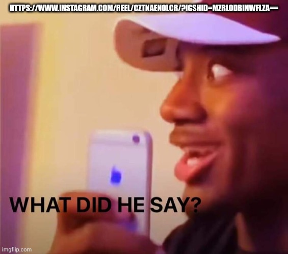 what did he say? | HTTPS://WWW.INSTAGRAM.COM/REEL/CZTNAENOLCR/?IGSHID=MZRLODBINWFLZA== | image tagged in what did he say | made w/ Imgflip meme maker