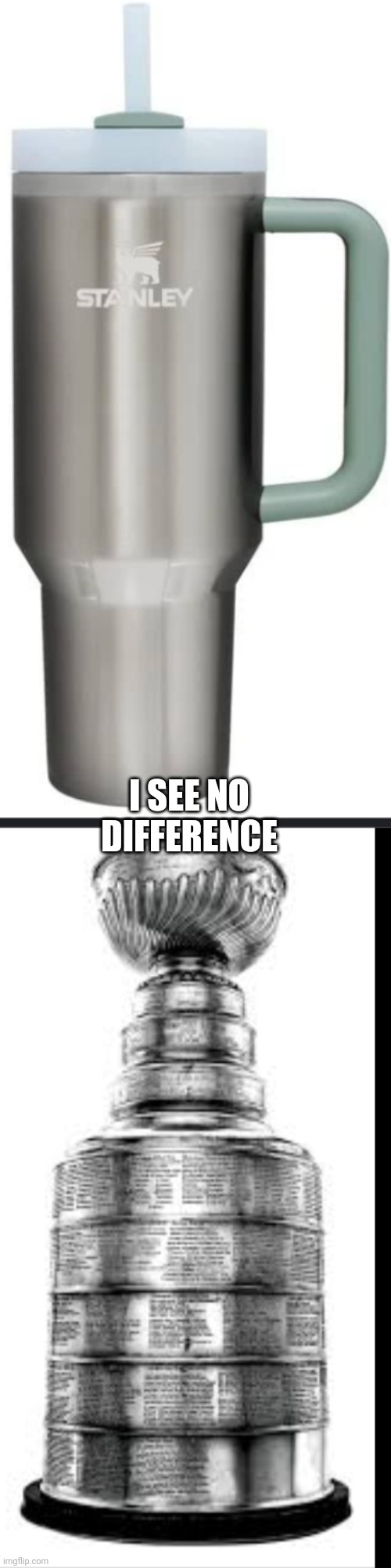 Stanley cup meme | I SEE NO DIFFERENCE | image tagged in memes,sports | made w/ Imgflip meme maker