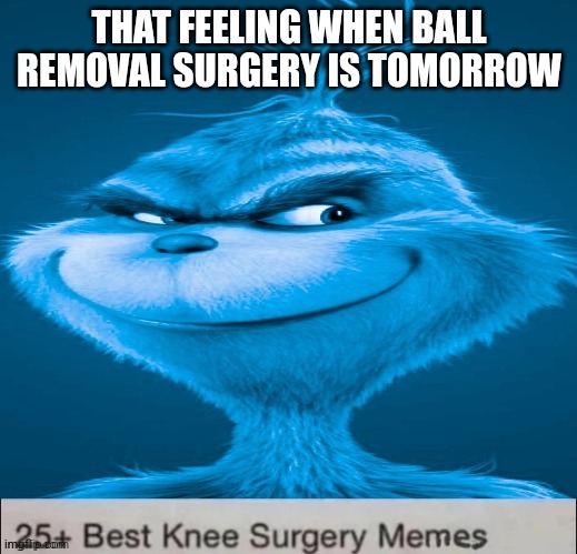 Blue Grinch Knee Surgery template | THAT FEELING WHEN BALL REMOVAL SURGERY IS TOMORROW | image tagged in blue grinch knee surgery template | made w/ Imgflip meme maker