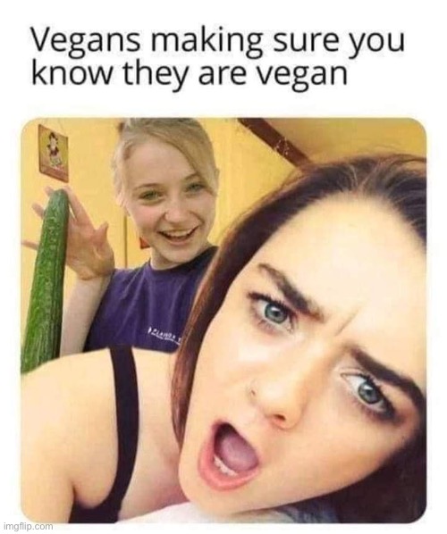 Vegans | image tagged in vegans,vegan | made w/ Imgflip meme maker