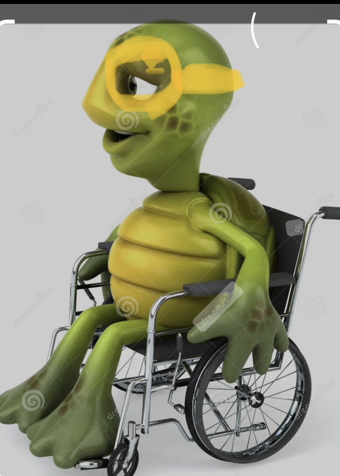 Handicapped turtle Blank Meme Template