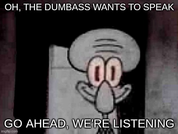 :| | OH, THE DUMBASS WANTS TO SPEAK; GO AHEAD, WE'RE LISTENING | image tagged in staring squidward | made w/ Imgflip meme maker