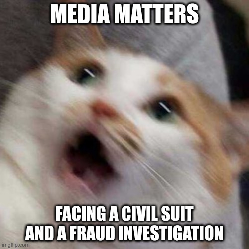 Oh no Cat | MEDIA MATTERS; FACING A CIVIL SUIT AND A FRAUD INVESTIGATION | image tagged in oh no cat | made w/ Imgflip meme maker