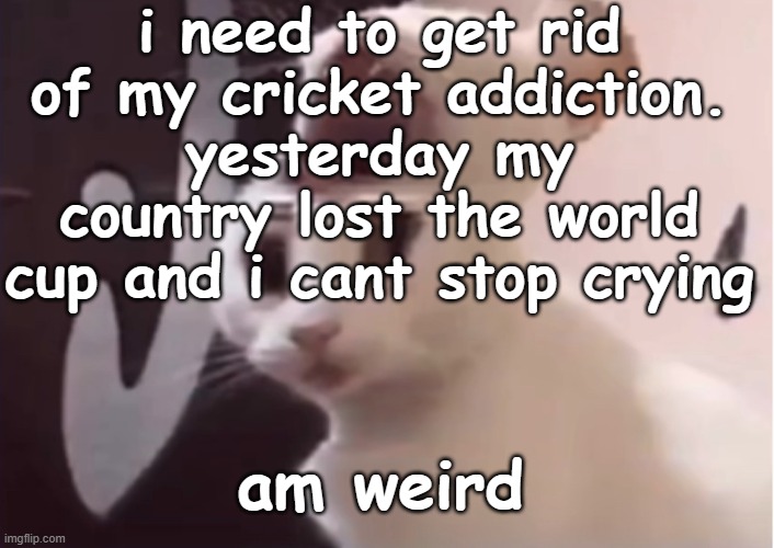 Shocked cat | i need to get rid of my cricket addiction. yesterday my country lost the world cup and i cant stop crying; am weird | image tagged in shocked cat | made w/ Imgflip meme maker