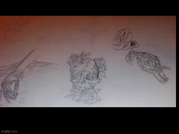 skeliton drawings | image tagged in skull,drawing,sketch | made w/ Imgflip meme maker