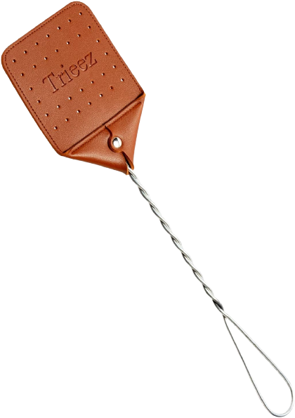 Fly Swatter Blank Meme Template