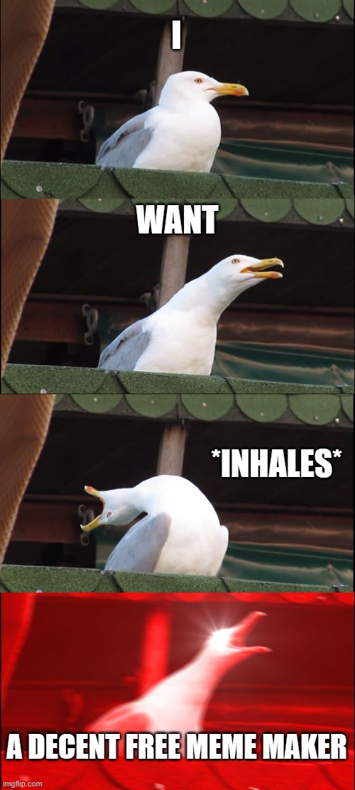 ImgFlip... *clears throat* | I; WANT; *INHALES*; A DECENT FREE MEME MAKER | image tagged in memes,inhaling seagull | made w/ Imgflip meme maker