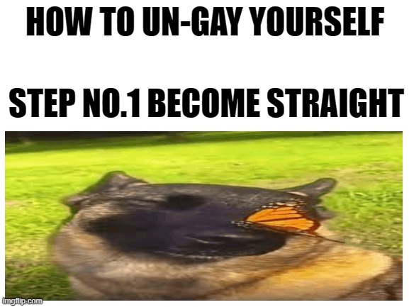 Blank White Template | HOW TO UN-GAY YOURSELF; STEP NO.1 BECOME STRAIGHT | image tagged in blank white template | made w/ Imgflip meme maker