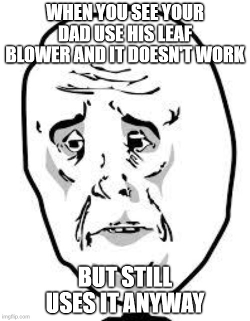 sad face | WHEN YOU SEE YOUR DAD USE HIS LEAF BLOWER AND IT DOESN'T WORK; BUT STILL USES IT ANYWAY | image tagged in sad face,reaction,in life | made w/ Imgflip meme maker