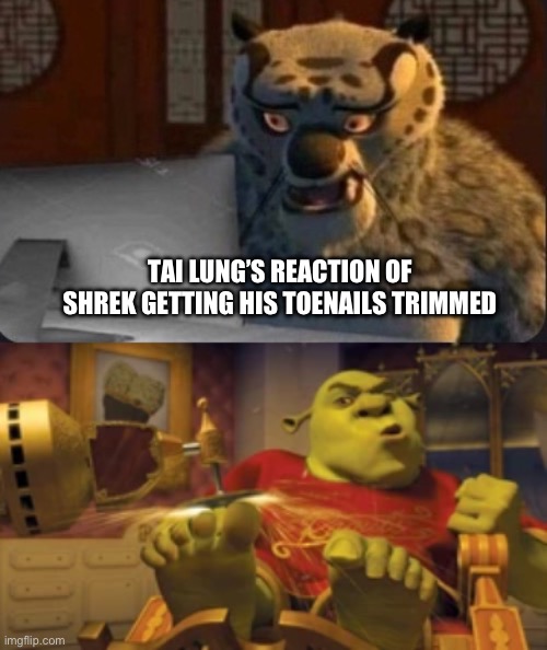 Tai Lung’s reaction of Shrek getting his toenails trimmed | TAI LUNG’S REACTION OF SHREK GETTING HIS TOENAILS TRIMMED | image tagged in kung fu panda why | made w/ Imgflip meme maker