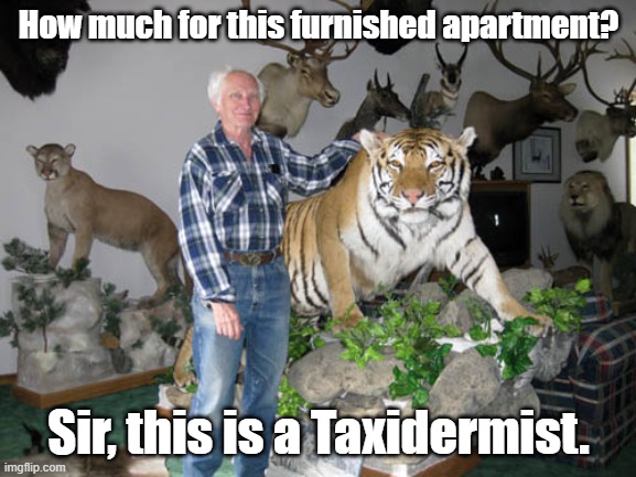 Sir this is a Taxidermist | How much for this furnished apartment? Sir, this is a Taxidermist. | image tagged in imgflip | made w/ Imgflip meme maker