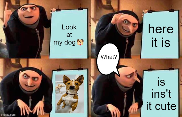 Gru's Plan Meme | Look at my dog🐶; here it is; What? is ins't it cute | image tagged in memes,gru's plan | made w/ Imgflip meme maker