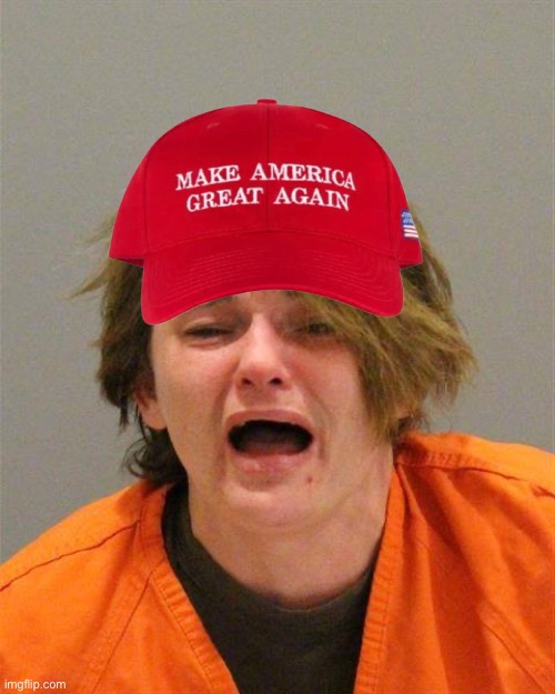 Arrested Snowflake | image tagged in arrested snowflake | made w/ Imgflip meme maker