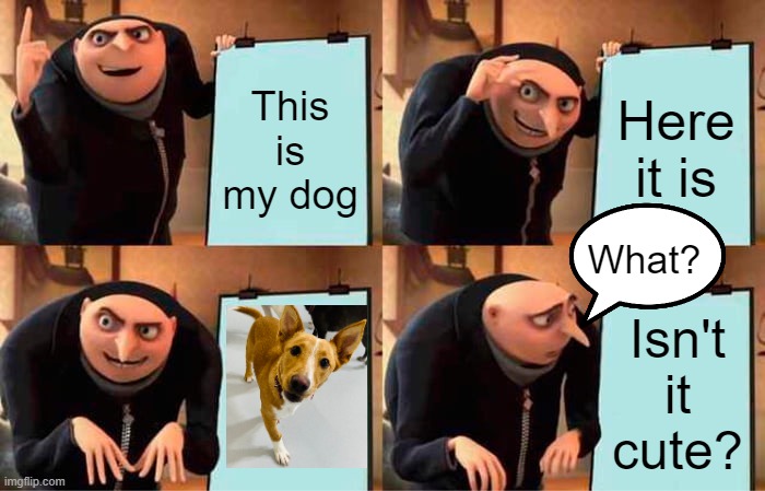 DOG FUNNY MEME | This is my dog; Here it is; What? Isn't it cute? | image tagged in memes,gru's plan | made w/ Imgflip meme maker