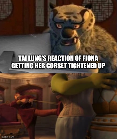 Tai Lung’s reaction of Fiona getting her corset tightened up | TAI LUNG’S REACTION OF FIONA GETTING HER CORSET TIGHTENED UP | image tagged in kung fu panda why | made w/ Imgflip meme maker