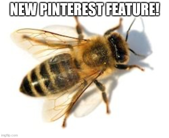 The NEWEST innovation in Pinterestry | NEW PINTEREST FEATURE! | image tagged in pinterest | made w/ Imgflip meme maker
