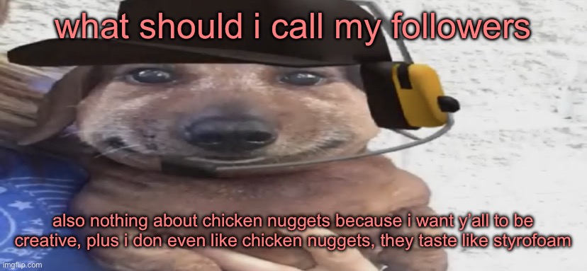 chucklenuts | what should i call my followers; also nothing about chicken nuggets because i want y’all to be creative, plus i don even like chicken nuggets, they taste like styrofoam | image tagged in chucklenuts | made w/ Imgflip meme maker